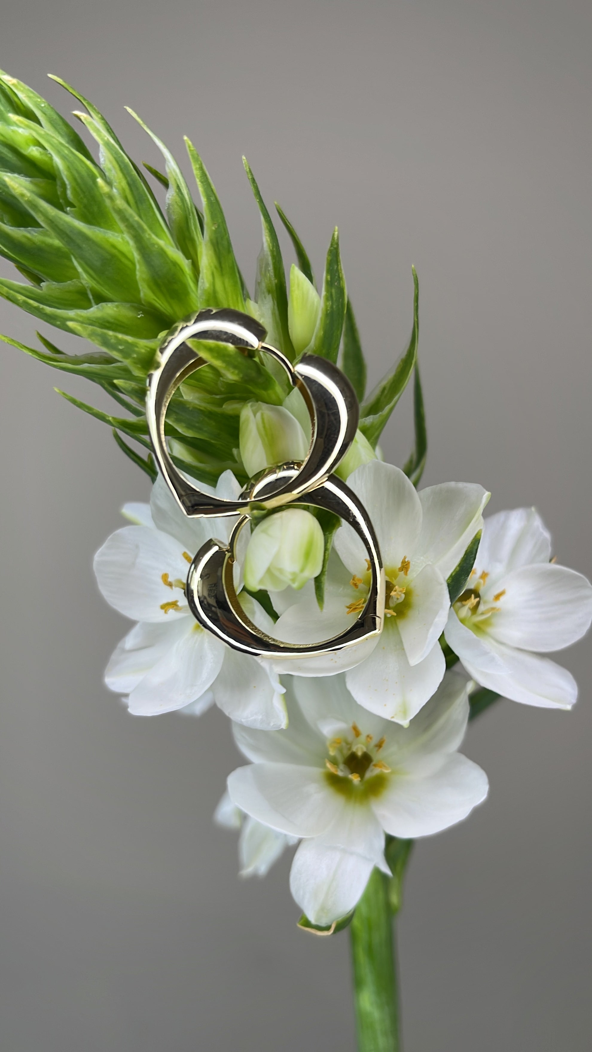 עגילי לב חלקים Éternal Heart Hoops