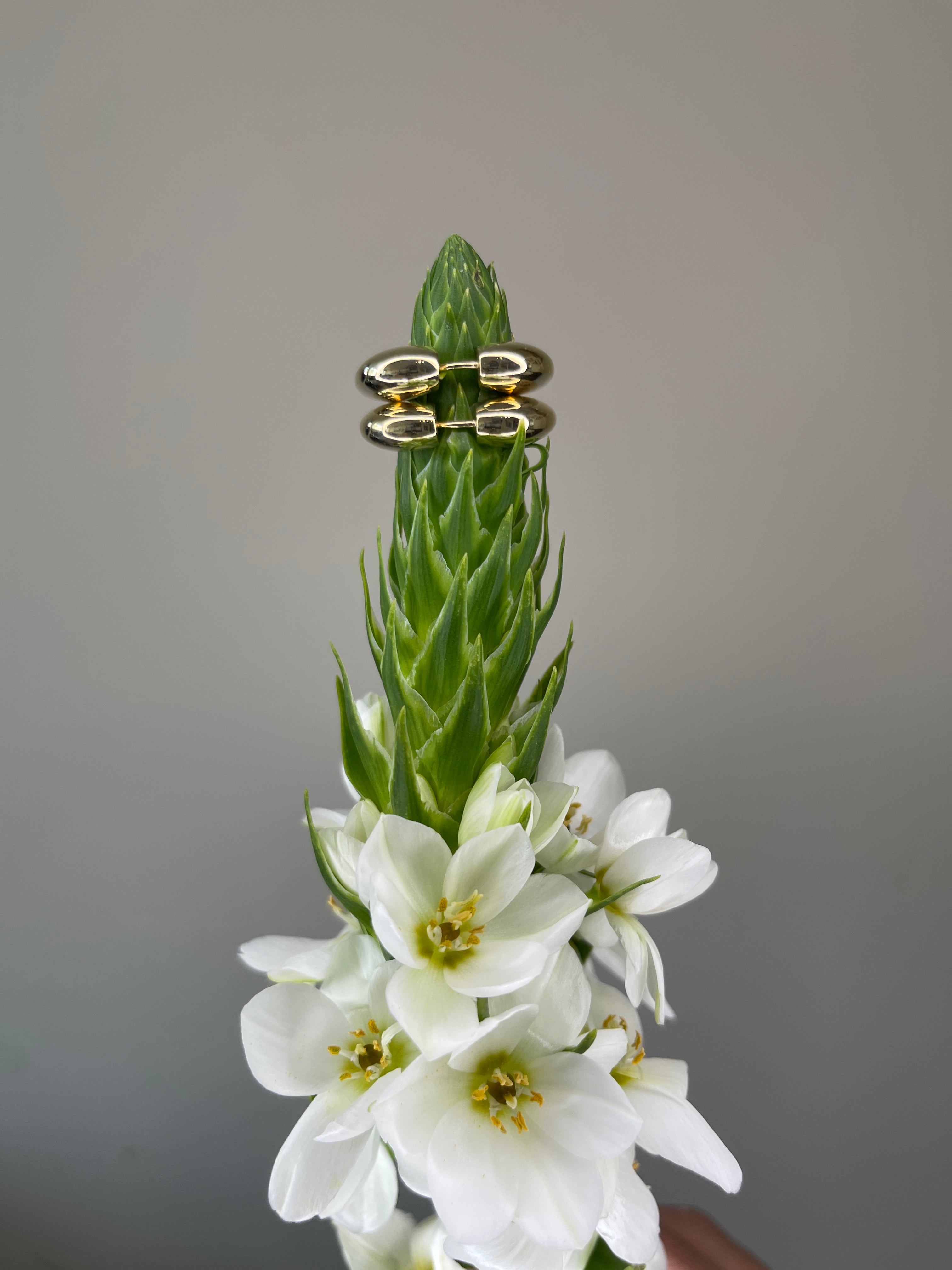 עגילי לב חלקים Éternal Heart Hoops