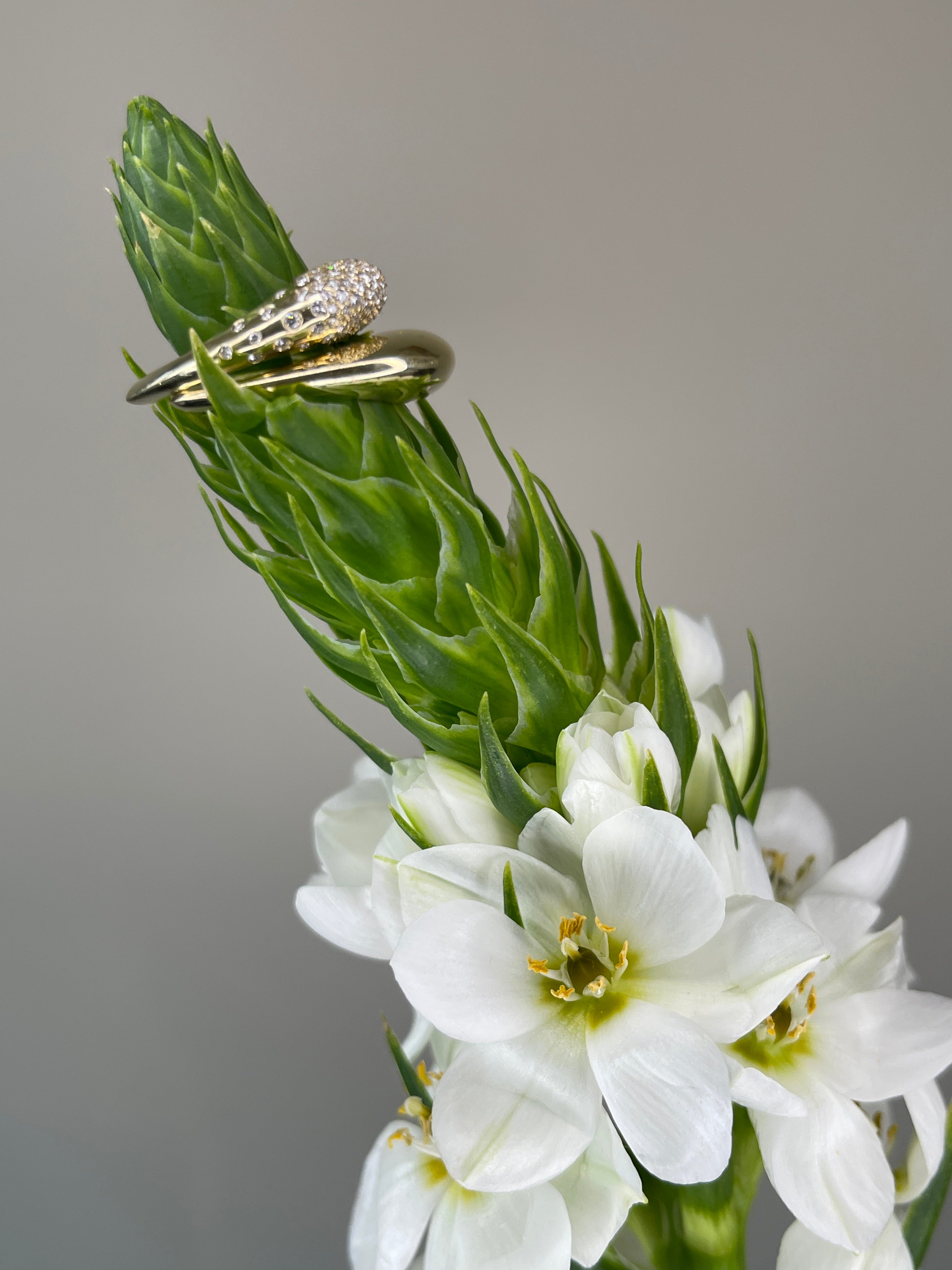 טבעת לב חלקה Éternal Heart