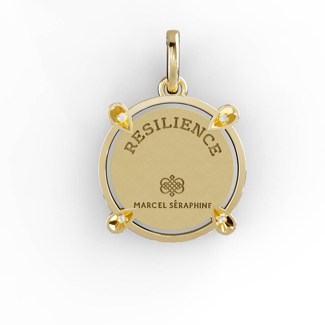 מיני קמע חוסן