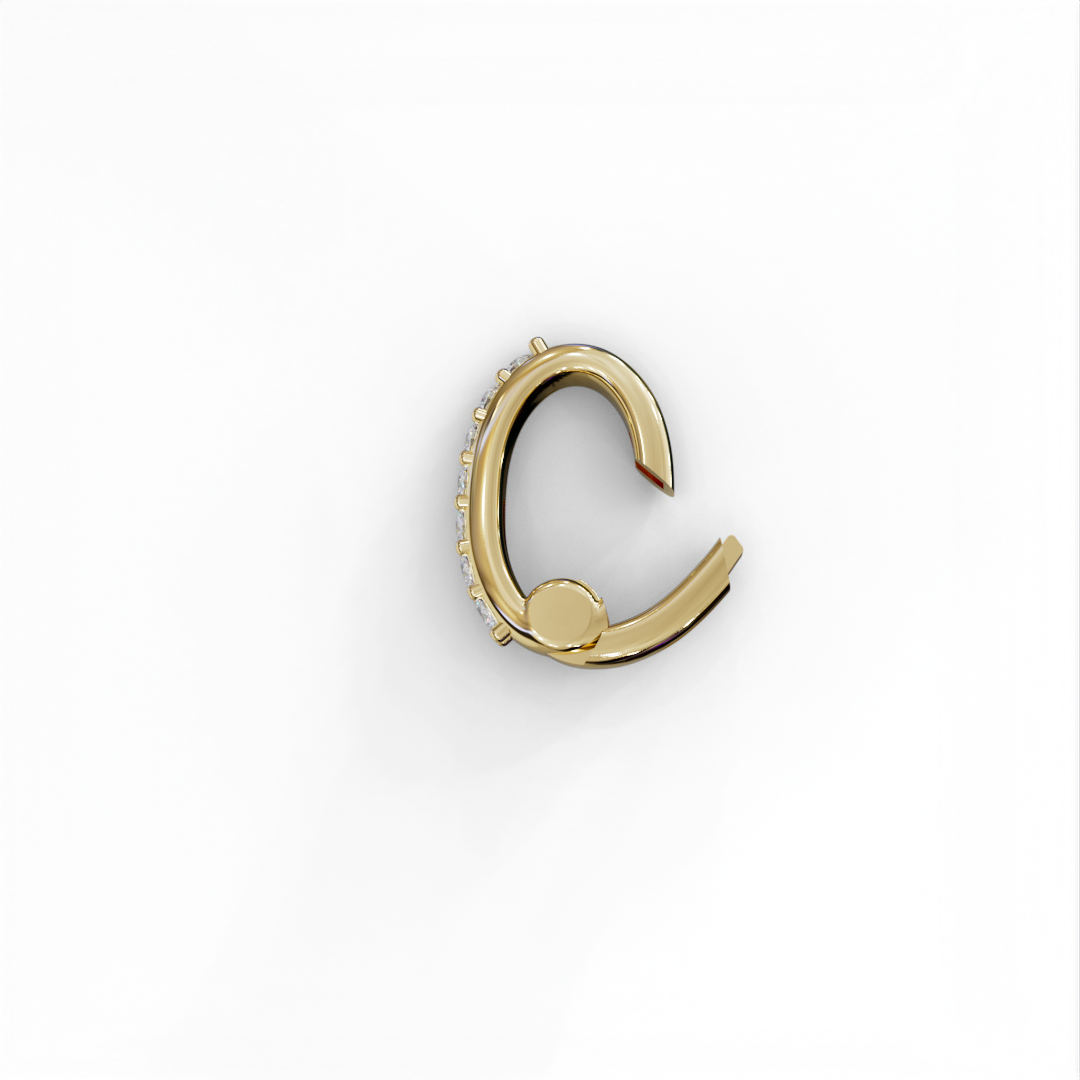 לולאת פוש משובצת